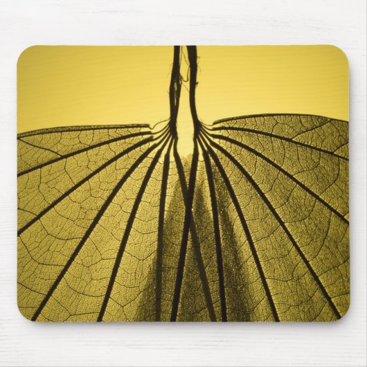 Leaf Skeleton Muismat (Voorkant)