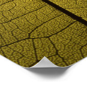 Leaf Skeleton Poster (Hoek)