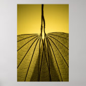 Leaf Skeleton Poster (Voorkant)