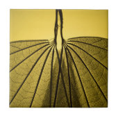 Leaf Skeleton Tegeltje (Voorkant)