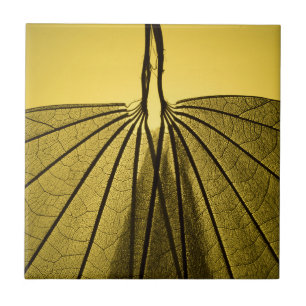 Leaf Skeleton Tegeltje