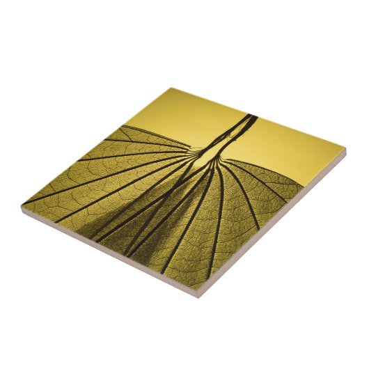 Leaf Skeleton Tegeltje (Zijkant)