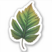 " leaf sticker " - bladpapier voor de sticker mari (Voorkant)