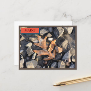 Leaf Stones Shells Seapoint Beach Maine Natuur Briefkaart