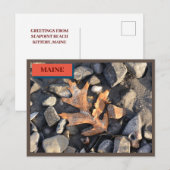 Leaf Stones Shells Seapoint Beach Maine Natuur Briefkaart (Voorkant / Achterkant)