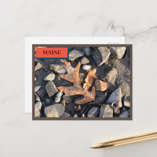 Leaf Stones Shells Seapoint Beach Maine Natuur Briefkaart (Voorkant / Achterkant in situ)