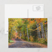 Leaf Strewn Gravel Road met Autumn Color Briefkaart (Voorkant / Achterkant)