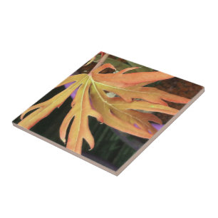 Leaf Study 2 Tegeltje