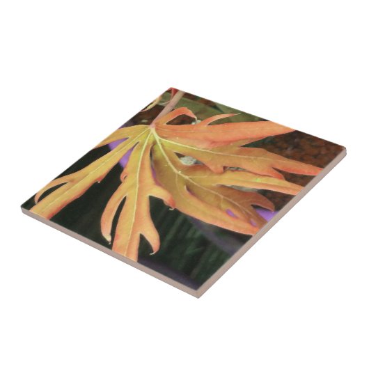 Leaf Study 2 Tegeltje (Zijkant)