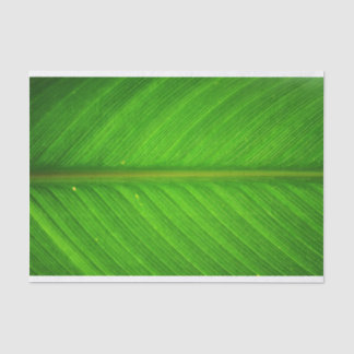 Leaf Tissue Tissuepapier
