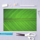 Leaf Tissue Tissuepapier (Craft)