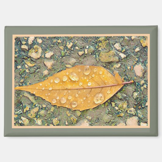 LEAF WITH RAINDROPS Magnet (Voorkant)