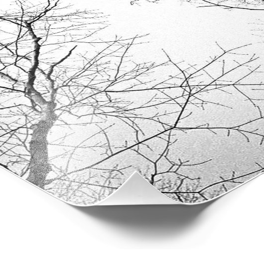 Leafless bomen foto afdruk (Hoek)