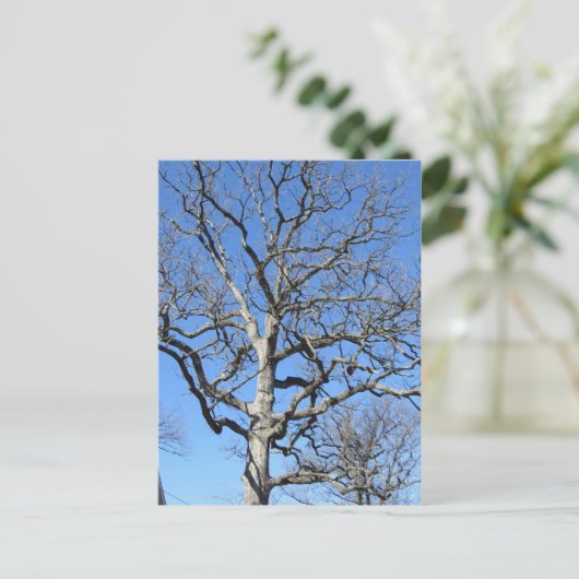 Leafless Tree Briefkaart (Staand voorkant)