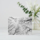 Leafless Trees in Thiepval Wood Briefkaart (Staand voorkant)