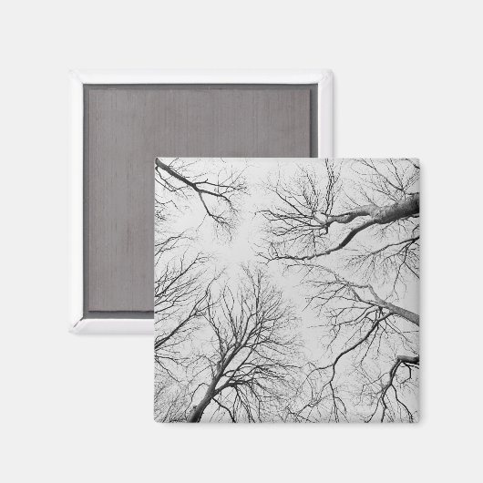 Leafless Trees in Thiepval Wood Magneet (Voorkant / Achterkant)