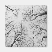 Leafless Trees in Thiepval Wood Magneet (Voorkant)