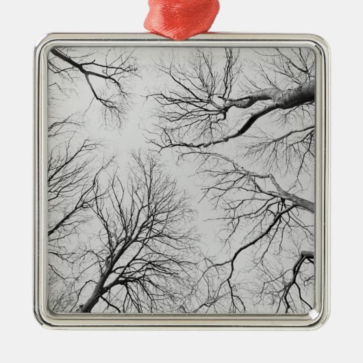Leafless Trees in Thiepval Wood Metalen Ornament (Voorkant)