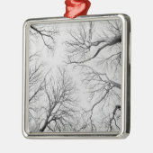 Leafless Trees in Thiepval Wood Metalen Ornament (Links)