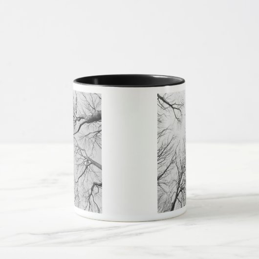 Leafless Trees in Thiepval Wood Mok (Midden)