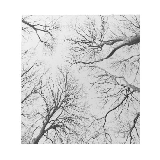 Leafless Trees in Thiepval Wood Notitieblok (Voorkant)