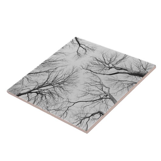 Leafless Trees in Thiepval Wood Tegeltje (Zijkant)