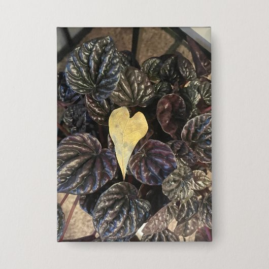 leafs button (Voorkant)