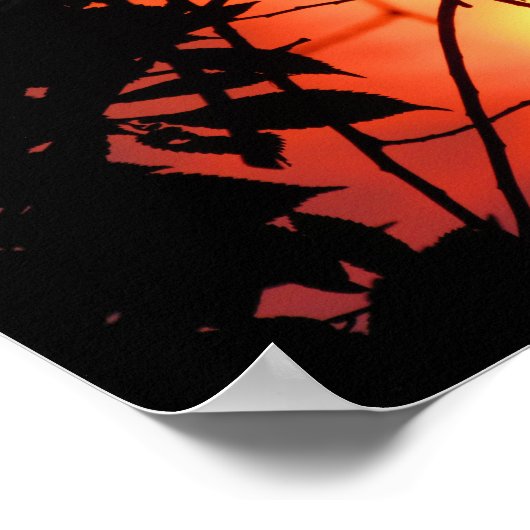 Leafs in de zon poster (Hoek)