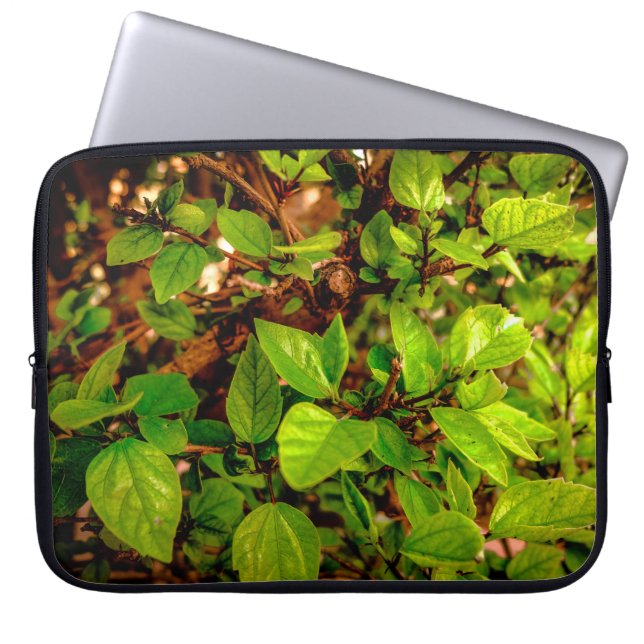 Leafs & Sun Laptop Sleeve (Voorkant)