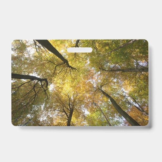 Leafy Canopy Badge (Voorzijde)