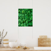 Leafy Green Clovers met waterdruppeltjes Poster (Keuken)