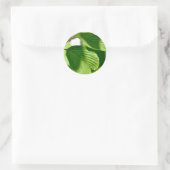Leafy Green Ronde Sticker (Tas)