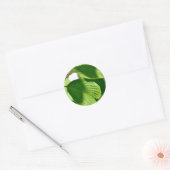Leafy Green Ronde Sticker (Envelop)