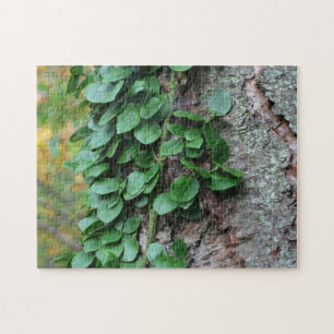 Leafy Green Vine die op de Natuur van de bomen gro Legpuzzel