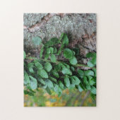 Leafy Green Vine die op de Natuur van de bomen gro Legpuzzel (Verticaal)