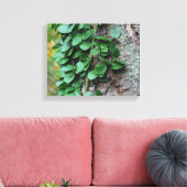 Leafy Green Vine kweek op boomstam Canvas Afdruk (Insitu (Woonkamer))