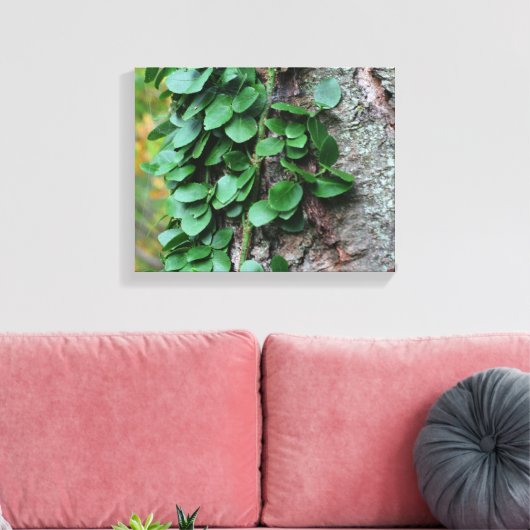 Leafy Green Vine kweek op boomstam Canvas Afdruk (Insitu (Woonkamer))