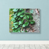 Leafy Green Vine kweek op boomstam Canvas Afdruk (Insitu (Houten vloer))