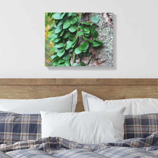 Leafy Green Vine kweek op boomstam Canvas Afdruk (Insitu (Slaapkamer))