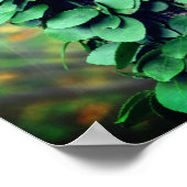 Leafy Green Vine kweek op boomstam Poster (Hoek)