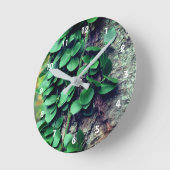 Leafy Green Vine kweek op boomstam Ronde Klok (Hoek)