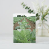 Leafy Greens, Farming Briefkaart (Staand voorkant)