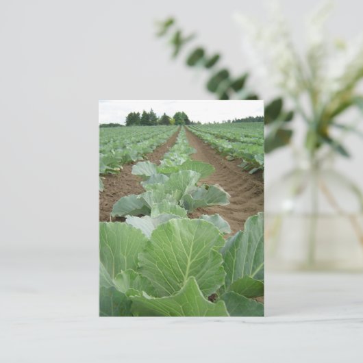 Leafy Greens, Farming Briefkaart (Staand voorkant)