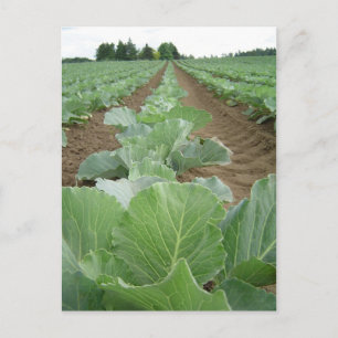 Leafy Greens, Farming Briefkaart