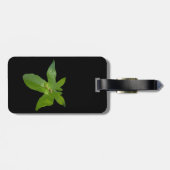 Leafy Haven: een kleine groene kikker op een druiv Bagagelabel (Achterkant horizontaal)