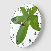 Leafy Haven: een kleine groene kikker op een druiv Grote Klok (Hoek)