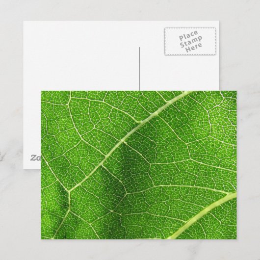 Leafy Labyrinth Briefkaart (Voorkant / Achterkant)