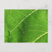 Leafy Labyrinth Briefkaart (Voorkant)