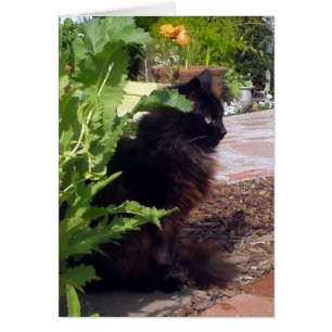 Leafy Madeleine Card