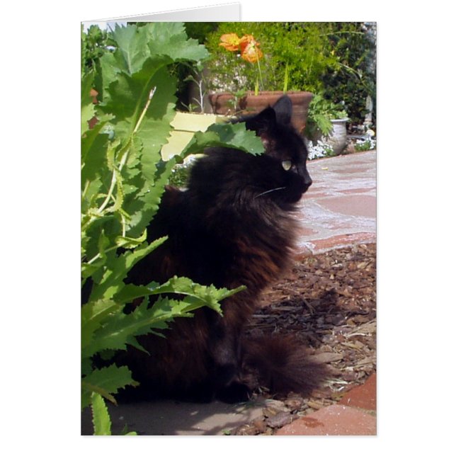 Leafy Madeleine Card (Voorkant)